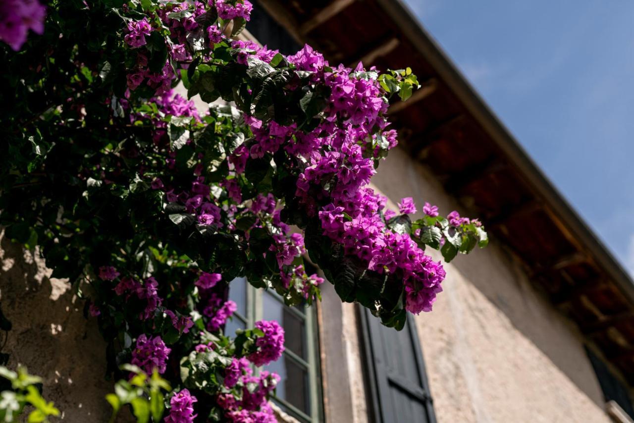 Agriturismo Le Chiusure San Felice del Benaco Exterior foto